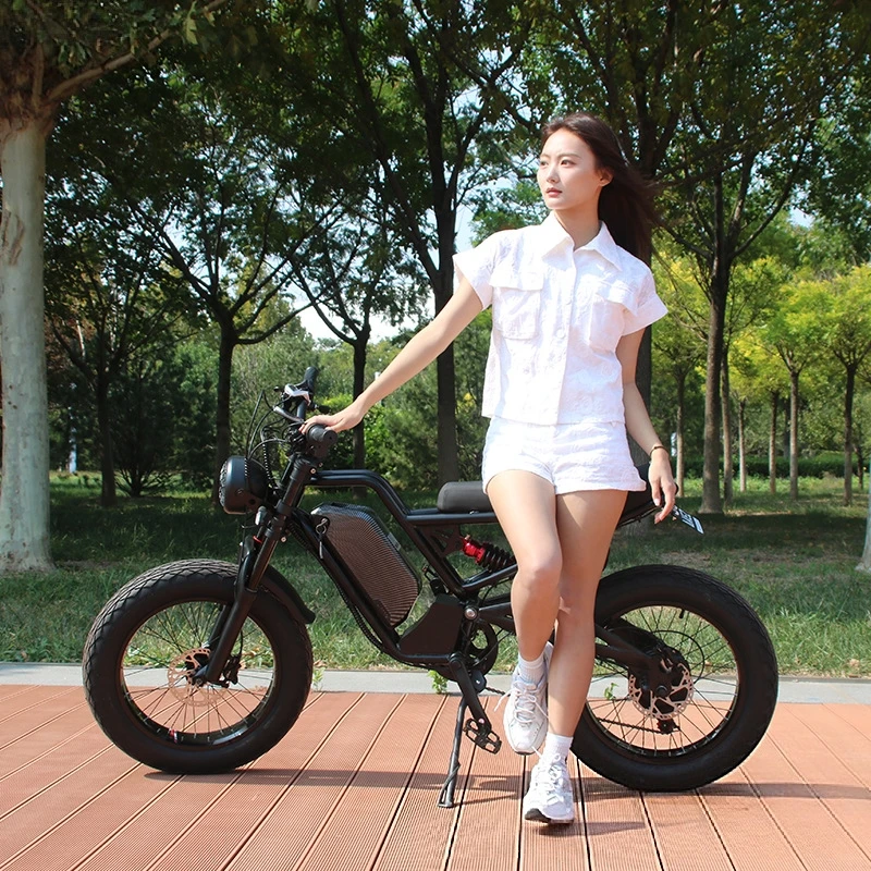 بطارية ليثيوم SXLL SXLL13Ah 48 - مراجعة 48V 1500W Rear Hub Motor With Battery وسعره